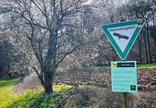 23-03-17 10-39-44 4878